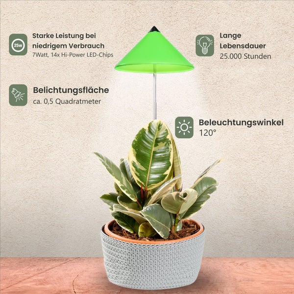 Parus by Venso SUNLiTE 7W LED Vollspektrum Pflanzenlampe Grün, Indoor Plants Pflanzen Beleuchtung, mit ausziehbarem Teleskopstab, Parus Pflanzenlampe für kleine und mittelgroße Zimmerpflanzen
