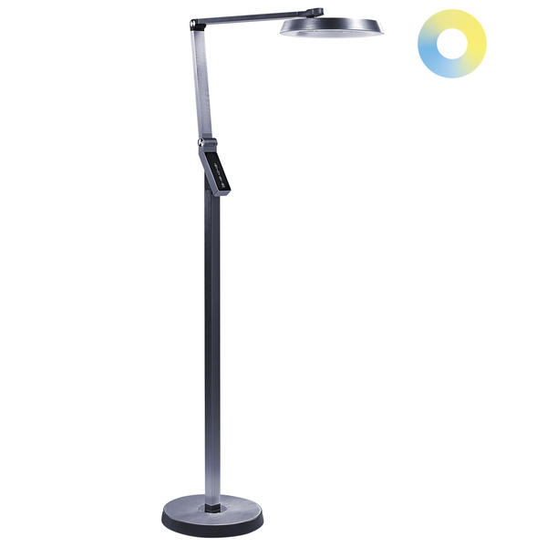 LED Stehlampe CARINA mit Dimmer Metall Dunkelgrau