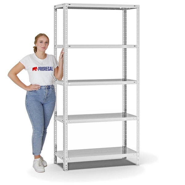 PROREGAL Fachbodenregal Schraubsystem Medium-Duty Grundregal HxBxT 200 x 100 x 40 cm 5 Ebenen Fachlast 200 kg Beidseitig Nutzbar Lichtgrau