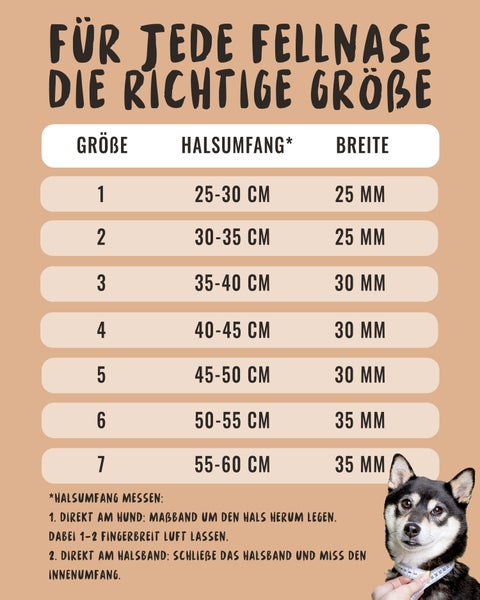 Größentabelle für Hundehalsbänder mit Angaben zu Halsumfang und Breite