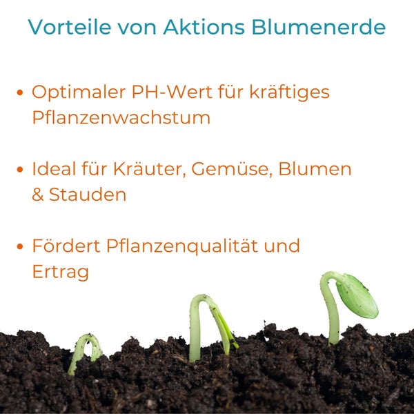 Blumenerde 40 L Anzuchterde Gartenerde Universalerde Pflanzenerde Blumen Pflanzen Erde Hochbeeterde gebrauchsfertig