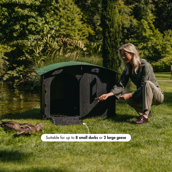 Frau stellt ein Entenhaus am Gartenteich auf; Familie mit Hund beobachtet Enten vor dem Kleintierhaus am Wasser.