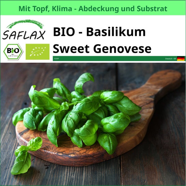 Bio-Basilikum Sweet Genovese auf Holzbrett