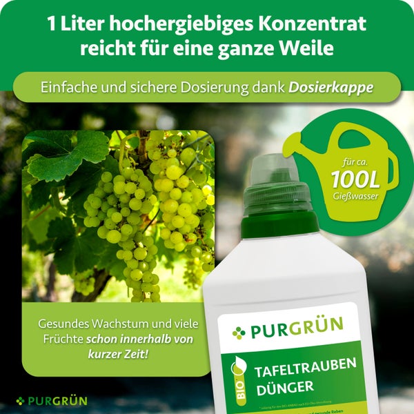 Eine Flasche Purgrün Tafeltraubendünger mit Dosierkappe für 100 Liter Gießwasser, geeignet für Bio-Anbau.