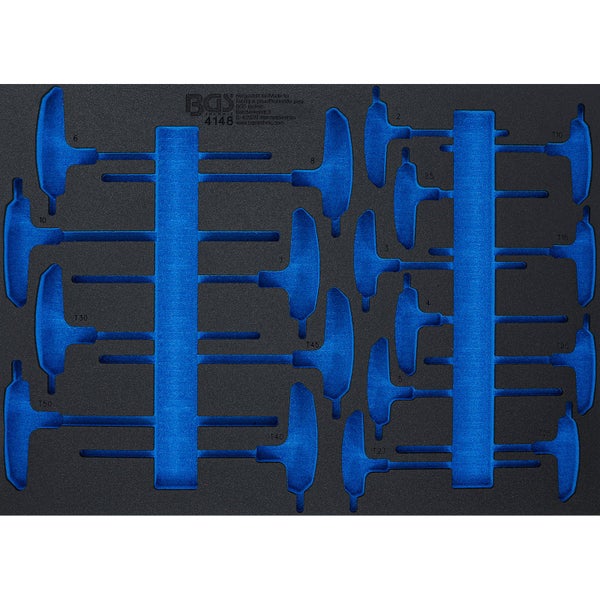 Nahaufnahme von japanischen Schwertlilien mit violetten Blütenblättern