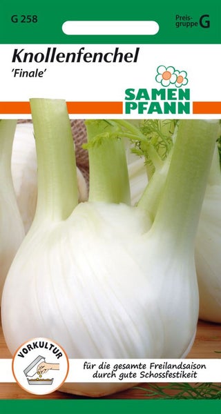 Knollenfenchel 'Finale' Samenpackung von Samen Pfann