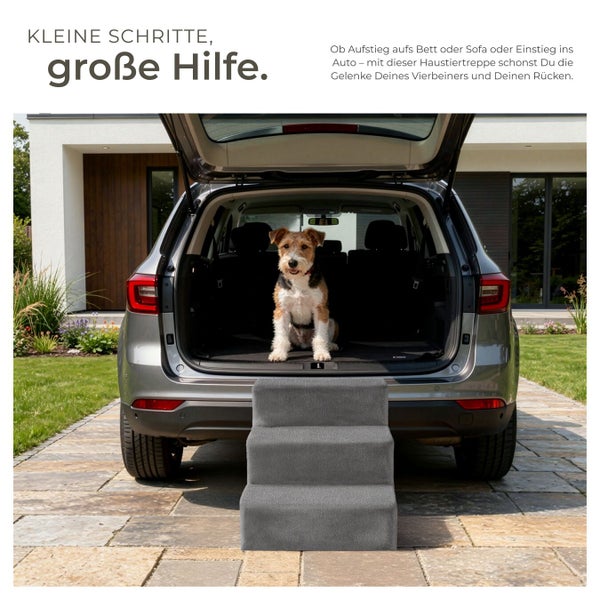 Hund sitzt im Kofferraum eines Autos vor einer Haustiertreppe