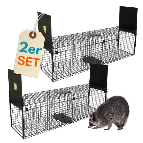 Zwei Tierfallen aus Draht mit Waschbär