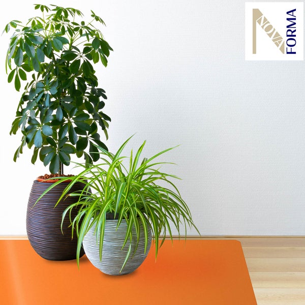 Zimmerpflanzen Schefflera und Grünlilie in dekorativen Pflanzgefäßen mit horizontaler Struktur auf einer orangen Bodenmatte. Nova Forma Logo.