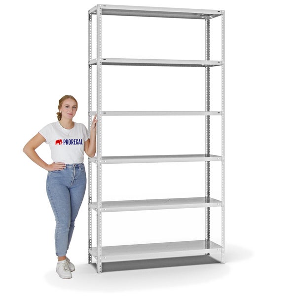 PROREGAL Fachbodenregal Schraubsystem Light-Duty Grundregal HxBxT 250 x 130 x 40 cm 6 Ebenen Fachlast 125 kg Beidseitig Nutzbar Lichtgrau