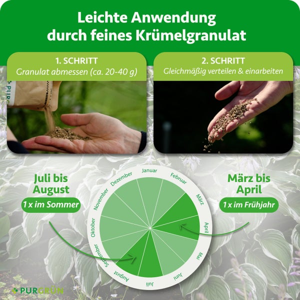 Infografik zur Anwendung: Schritt 1 circa 20 bis 40 Gramm abmessen, Schritt 2 gleichmäßig verteilen. Anwendung im Frühjahr und Sommer. Purgrün Logo.