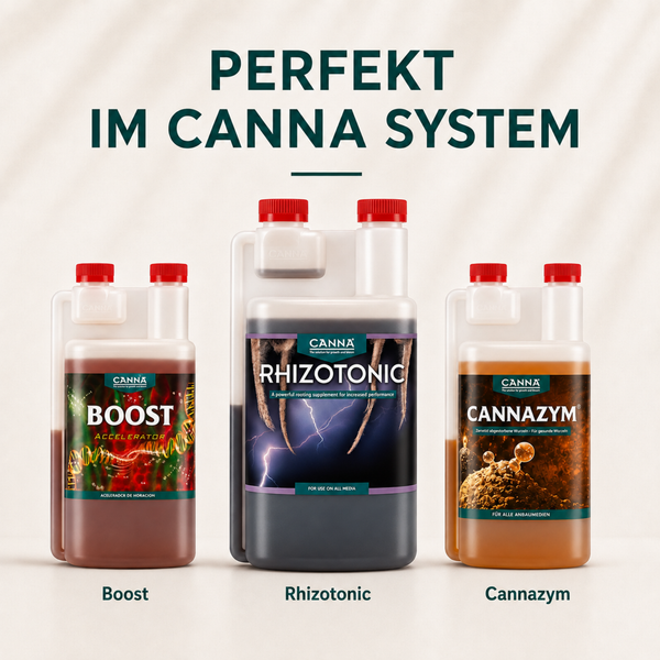 Drei Canna Pflanzendünger Flaschen Boost, Rhizotonic und Cannazym zur Verwendung im Canna System für gesundes Pflanzenwachstum.
