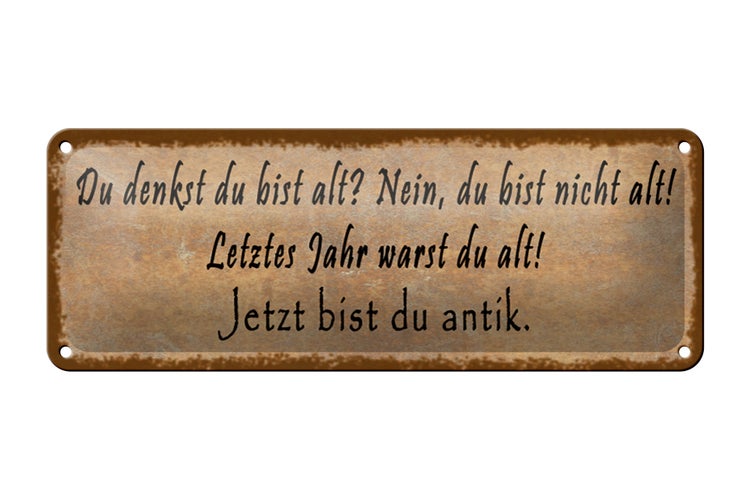 Blechschild Spruch 27x10cm du denkst du bist alt nein bist Dekoration