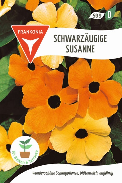 Verpackung Schwarzäugige Susanne von Frankonia