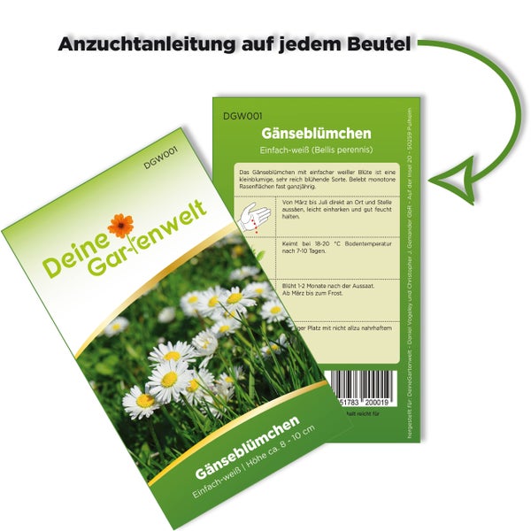 Samentüte Gänseblümchen einfach weiß mit Deine Gartenwelt Logo. Anzuchtanleitung auf der Rückseite. Wuchshöhe circa 8 bis 10 Zentimeter.