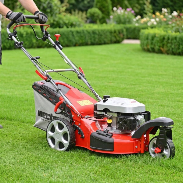 Benzin-Rasenmäher von Hecht mit drei Rädern und Fangkorb wird auf einer Rasenfläche geschoben.