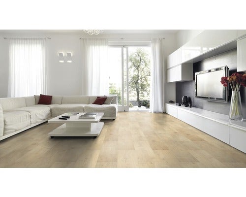 Heller Wohnraum mit Parkettboden, Sofa und Fernseher