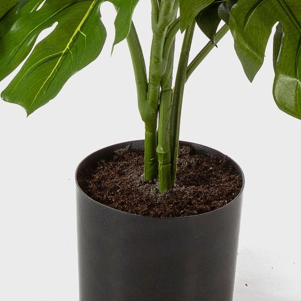 Künstliche Monstera Fensterblatt im schwarzen Kunststofftopf mit großen grünen Blättern.