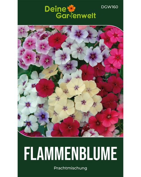 Samentüte mit Flammenblumen Prachtmischung von Deine Gartenwelt