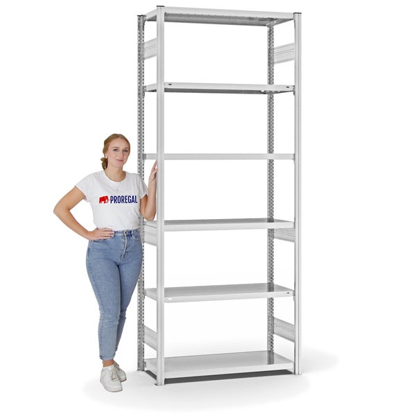 PROREGAL Fachbodenregal Stecksystem T-Profil Heavy-Duty Grundregal HxBxT 250 x 100 x 40 cm 6 Ebenen Fachlast 315 kg Beidseitig Nutzbar Lichtgrau