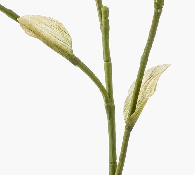 Künstliches Ziergras mit langen grünen Halmen und flauschigen zylindrischen Blütenständen.