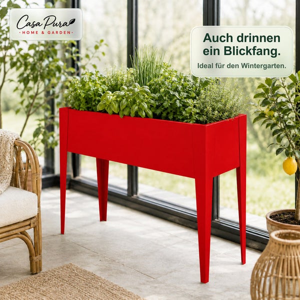 Casa Pura Hochbeet bepflanzt mit Kräutern in einem hellen Wintergarten vor einem großen Fenster.