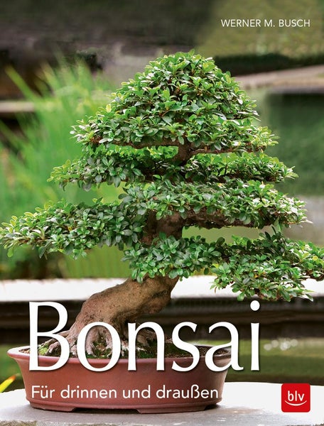 Bonsai Für draußen und drinnen