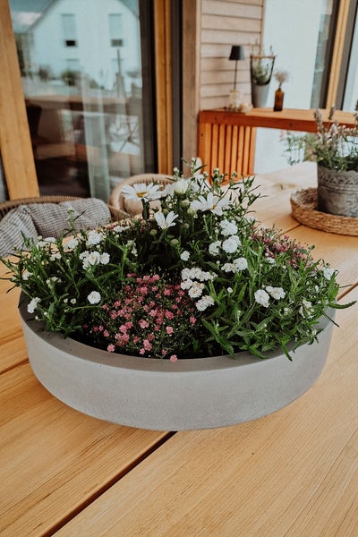 Runde, flache Pflanzschale in Betonoptik mit weißen und rosa Blumen auf einem Holztisch auf der Terrasse.