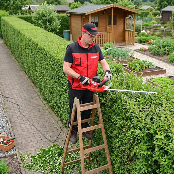 Ein Mann auf einer Leiter schneidet eine Hecke mit einer Heckenschere in einem Garten.