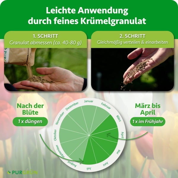 Anwendungshinweise für Blumendünger Granulat mit Schritt für Schritt Anleitung und Kalender für die optimale Düngezeit im Frühjahr und nach der Blüte