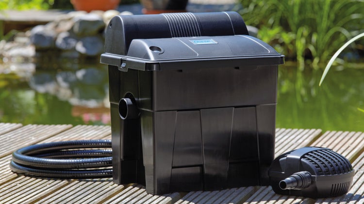 Oase Teichfilter-Set mit Filterbox, Pumpe und Schlauch auf einem Holzsteg an einem hellen Gartenteich.