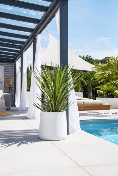 Terrasse mit Pool, Glasdach-Pergola, weißen Vorhängen und einem großen weißen Pflanzkübel mit einer spitzen grünen Pflanze.