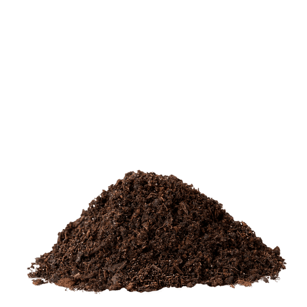 Beet mit verschiedenen Gräsern und Blumen