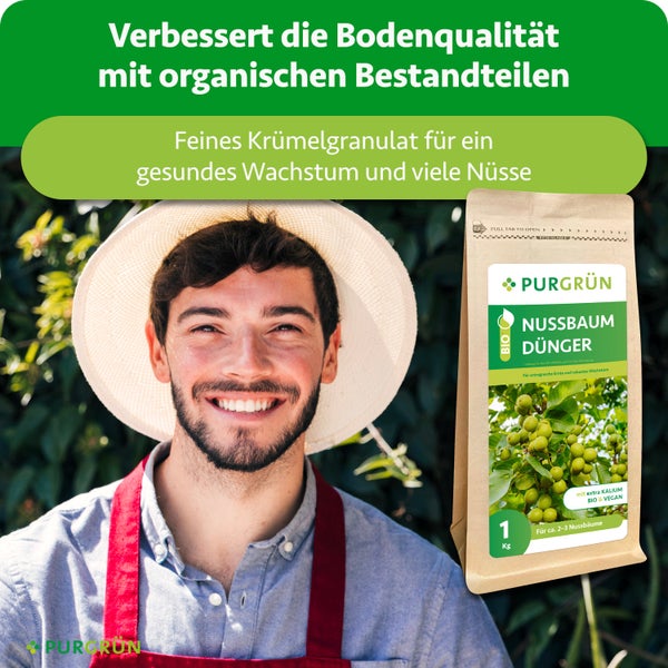 Efeu mit grünen und hellen Blättern