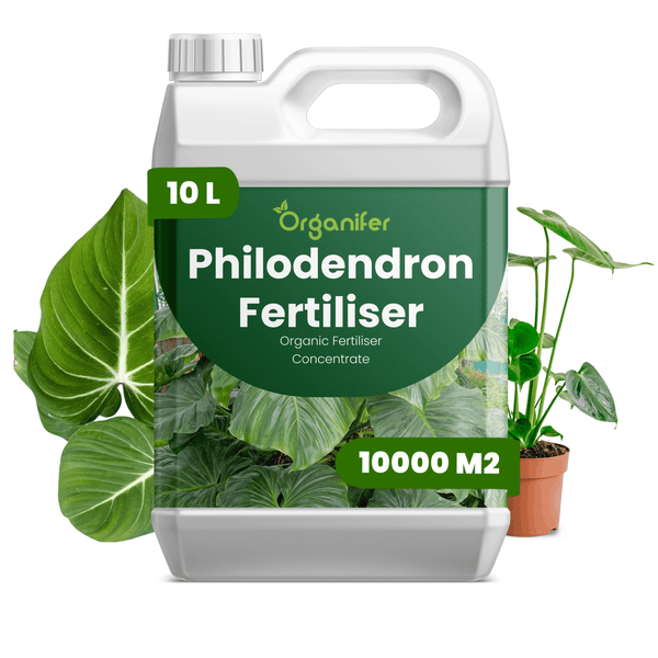 Organifer Philodendron Dünger, 10 Liter organisches Düngerkonzentrat für bis zu 10000 Quadratmeter, Organifer Logo.