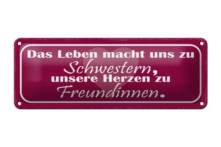 Blechschild Spruch 27x10cm Leben macht uns zu Schwestern Dekoration