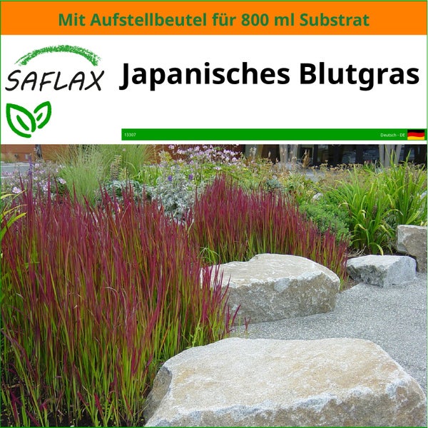 SAFLAX Garden in the bag - Japanisches Blutgras - Imperata cylindrica - 50 Samen - Mit Anzuchtsubstrat im praktischen, selbst aufstellenden Beutel