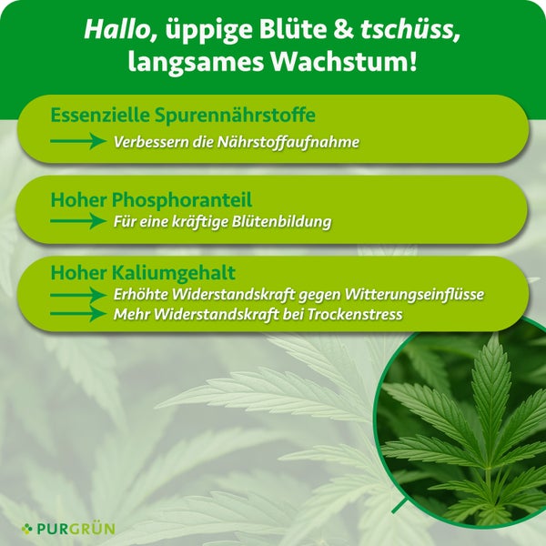 Infografik mit Vorteilen von Purgrün Pflanzendünger für Blühpflanzen mit Informationen zu Spurennährstoffen Phosphor und Kalium für kräftige Blüten.