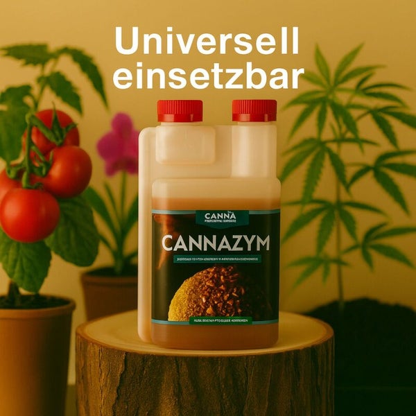 Canna Cannazym Enzympräparat für Pflanzen in einer Flasche auf einem Holzstumpf neben Tomaten- und Hanfpflanzen.