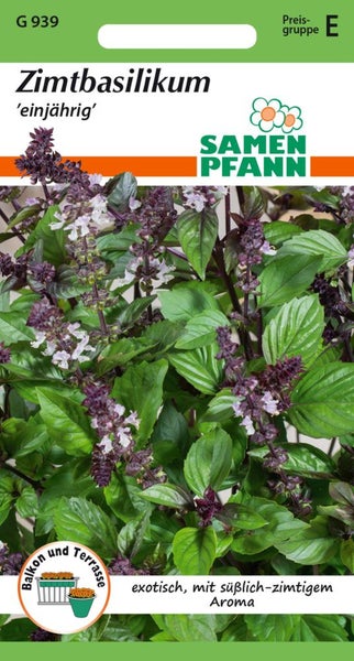 Samen Pfann Zimtbasilikum einjährig