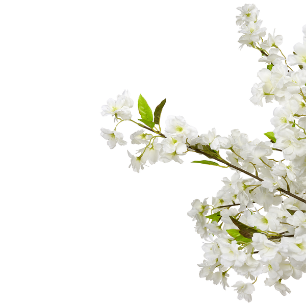 Künstlicher Kirschblütenzweig mit weißen Blüten und grünen Blättern.