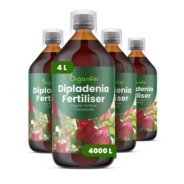 Organifer Dipladenia Dünger, organisches Flüssigdünger Konzentrat, 4 Liter, ergibt 4000 Liter Gießwasser