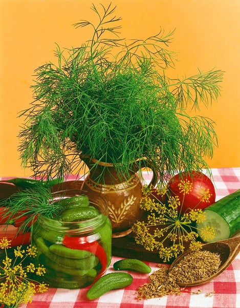 Stillleben mit Dill, Hering, Gurke und Zwiebel auf einem Schneidebrett.