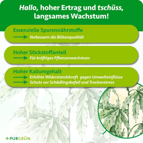 Information zum Purgrün Dünger: Hoher Ertrag, Spurennährstoffe für Blütenqualität, Stickstoff für Wachstum und Kalium für Widerstandskraft.