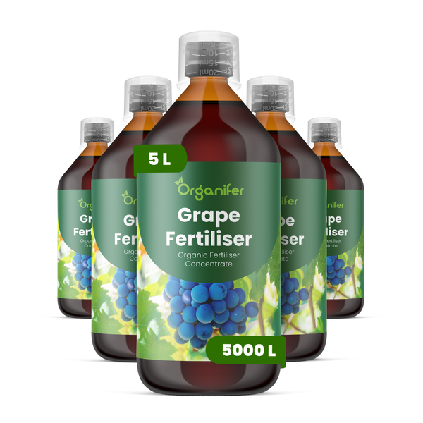 Organifer Traubendünger Bio-Düngerkonzentrat, fünf 5-Liter-Flaschen.