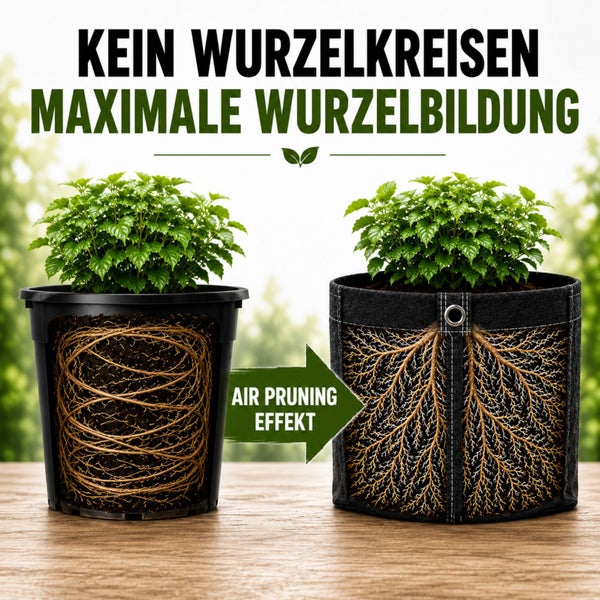 Vergleich von Wurzelwachstum zwischen herkömmlichem Kunststofftopf mit Ringelwurzeln und Stofftopf mit Air Pruning Effekt für maximale Wurzelbildung.