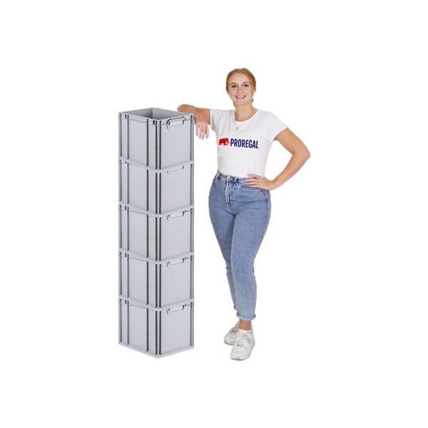 PROREGAL Spar Set 5x Eurobox Nextgen Economy Mit Scharnierdeckel & Schwarzen Schiebeschnappverschlüssen Griffe Geschlossen HxBxT 32 x 30 x 40 cm