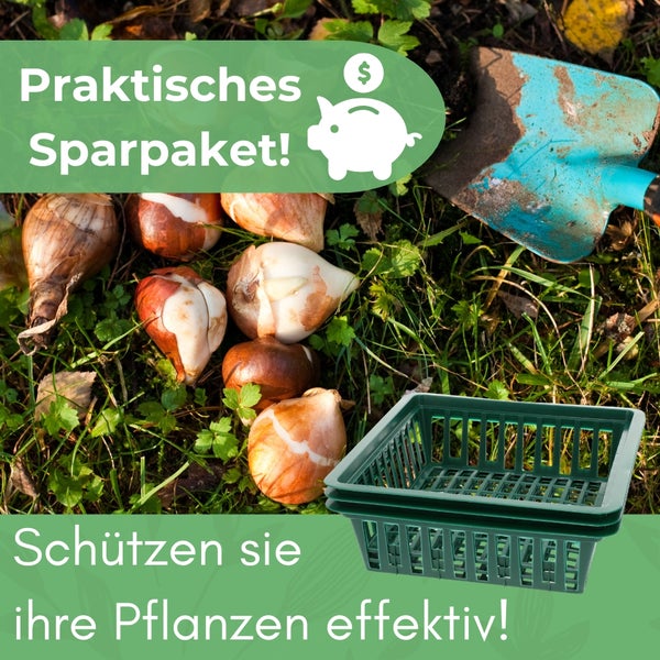 Sparpaket mit Blumenzwiebeln, Pflanzkorb und Gartenschaufel