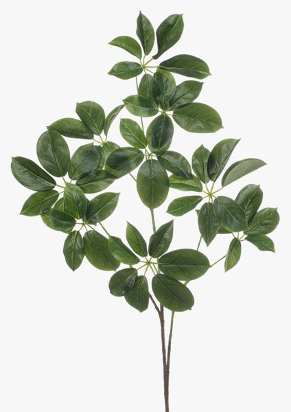 Künstlicher Schefflera-Zweig mit grünen Blättern.