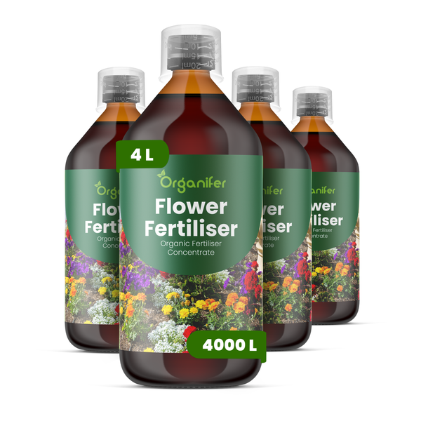Organifer Bio-Blumendünger Konzentrat, vier Flaschen zu je 1 Liter, insgesamt 4 Liter für 4000 Liter Dünger.